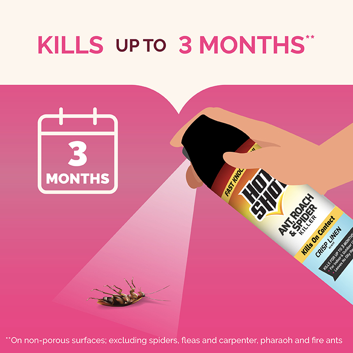 Ant, Roach & Spider Killer Crisp Linen Scent 17.5 oz Kills up to 3 Months